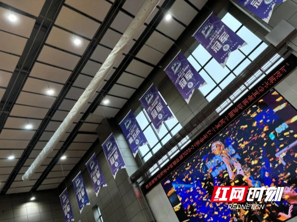 初学者如何在篮球训练中建立毅力?_1